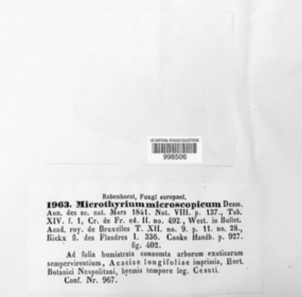 Microthyrium microscopicum image